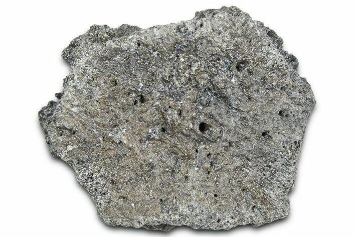 Fossil Glyptodont (Glyptotherium) Bony Armor Osteoderm - Florida #362340